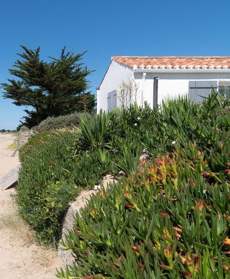 Maisons de charme